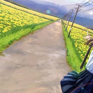 Anime flower field wallpaper