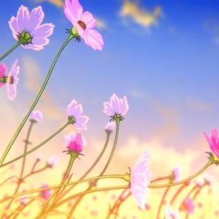Anime flower field wallpaper