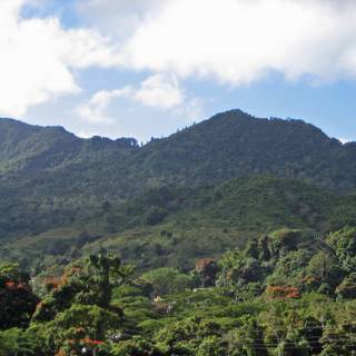 Adjuntas Puerto Rico wallpaper