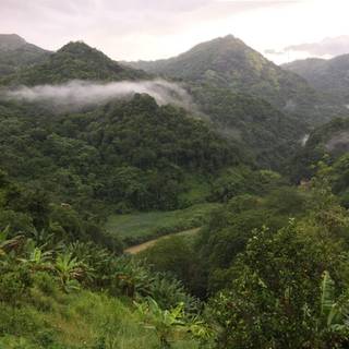 Adjuntas Puerto Rico wallpaper