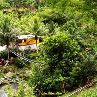 Adjuntas Puerto Rico wallpaper