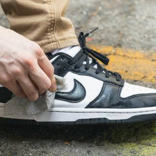 Panda Dunks wallpaper