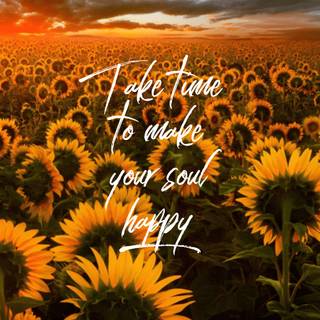 Sunflower quotes wallpaper