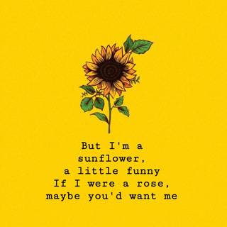 Sunflower quotes wallpaper