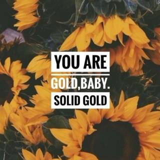 Sunflower quotes wallpaper