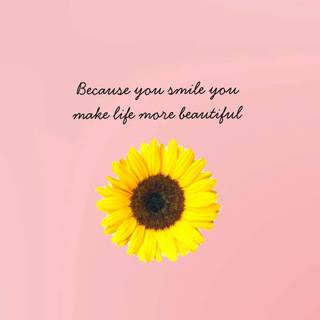 Sunflower quotes wallpaper
