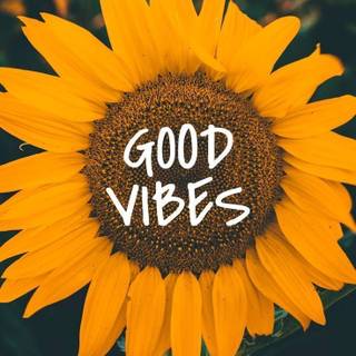 Sunflower quotes wallpaper