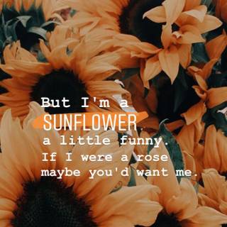 Sunflower quotes wallpaper
