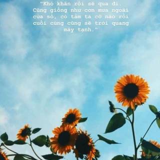 Sunflower quotes wallpaper