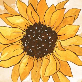 Sunflower quotes wallpaper