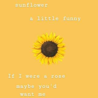Sunflower quotes wallpaper