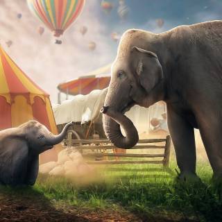 Dumbo desktop wallpaper