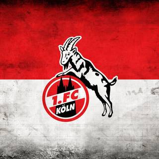 FC Koln desktop wallpaper