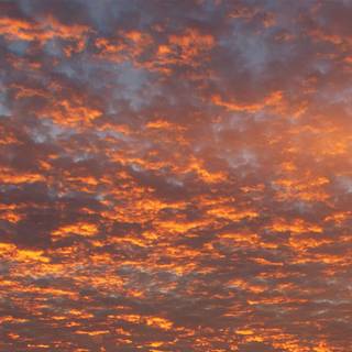 Aesthetic warm desktop wallpaper