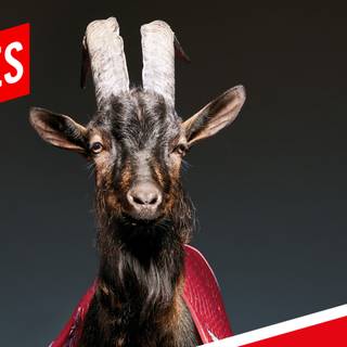 FC Koln desktop wallpaper