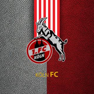 FC Koln desktop wallpaper