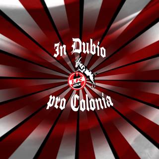 FC Koln desktop wallpaper