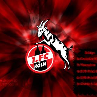 FC Koln desktop wallpaper