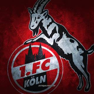 FC Koln desktop wallpaper