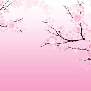 Anime flower banner wallpaper
