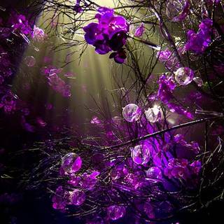 Purple retro PC wallpaper