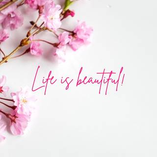 Spring life desktop wallpaper
