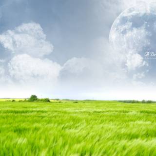 Green farm wallpaper