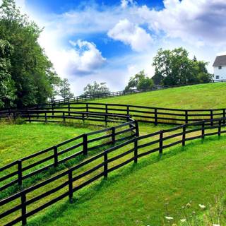 Green farm wallpaper