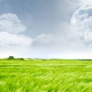 Green farm wallpaper