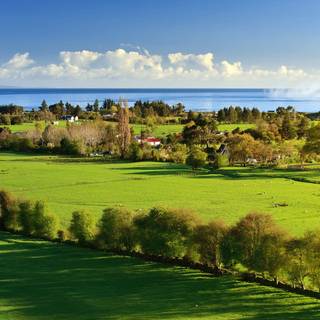 Green farm wallpaper