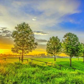 Green farm wallpaper