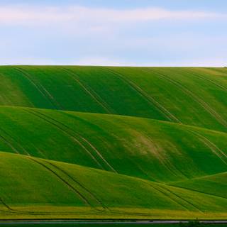 Green farm wallpaper