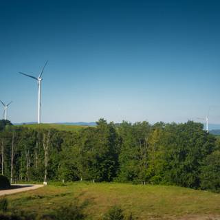 Green farm wallpaper