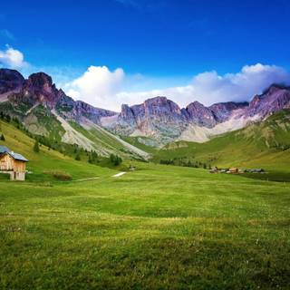 Green farm wallpaper