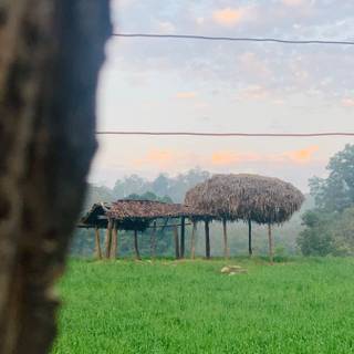 Green farm wallpaper