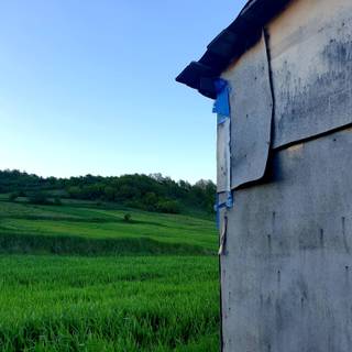 Green farm wallpaper