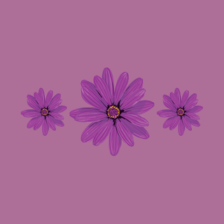 Desktop purple wallpaper