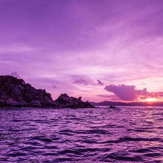 Desktop purple wallpaper