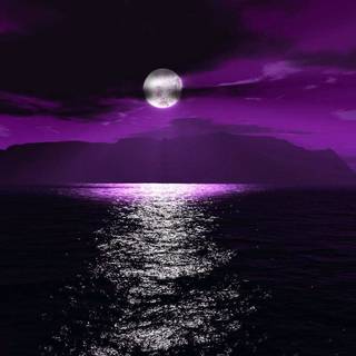 Desktop purple wallpaper