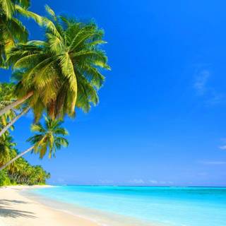 Cancun desktop wallpaper