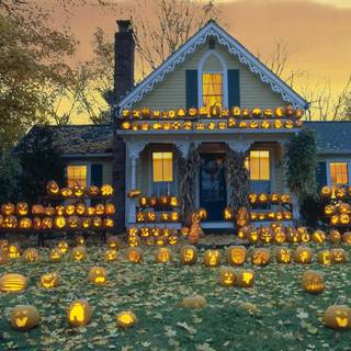 Autumn pumpkin field desktop wallpaper