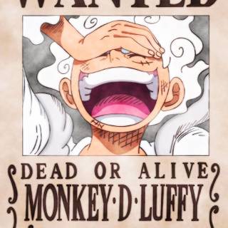 Bounty Luffy wallpaper