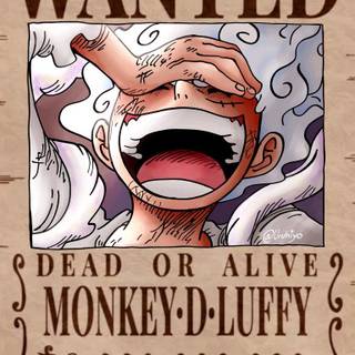 Bounty Luffy wallpaper
