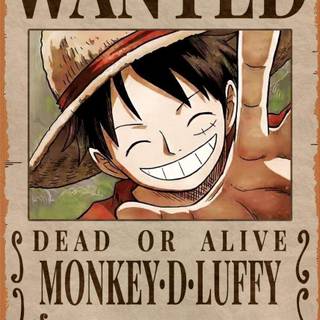Bounty Luffy wallpaper