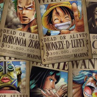 Bounty Luffy wallpaper