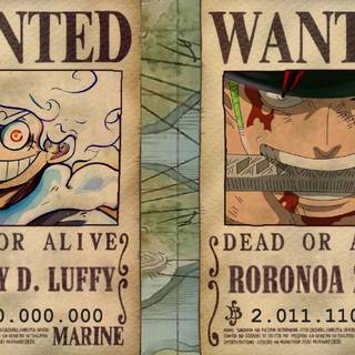 Bounty Luffy wallpaper