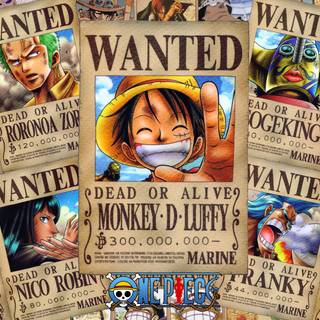 Bounty Luffy wallpaper