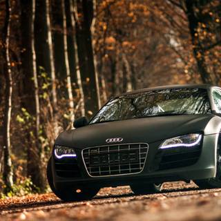 Audi desktop wallpaper