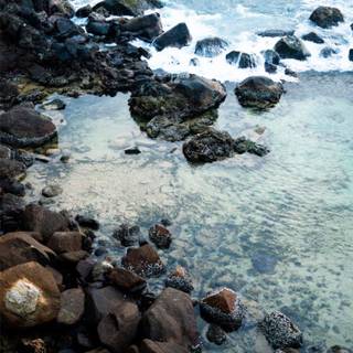 Coastal rocks wallpaper