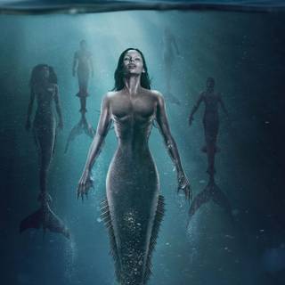 Siren aesthetic wallpaper